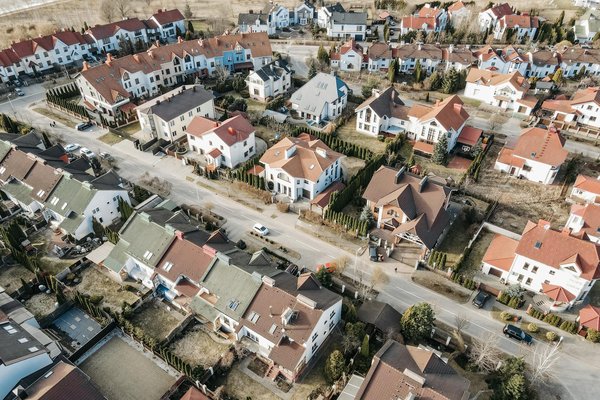 7 Plantes Qui S'épanouissent à l'Ombre dans Votre Jardin