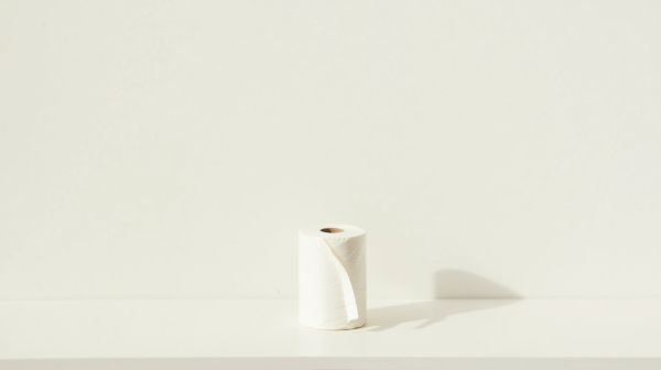 Où trouver le meilleur prix papier toilette en gros ?